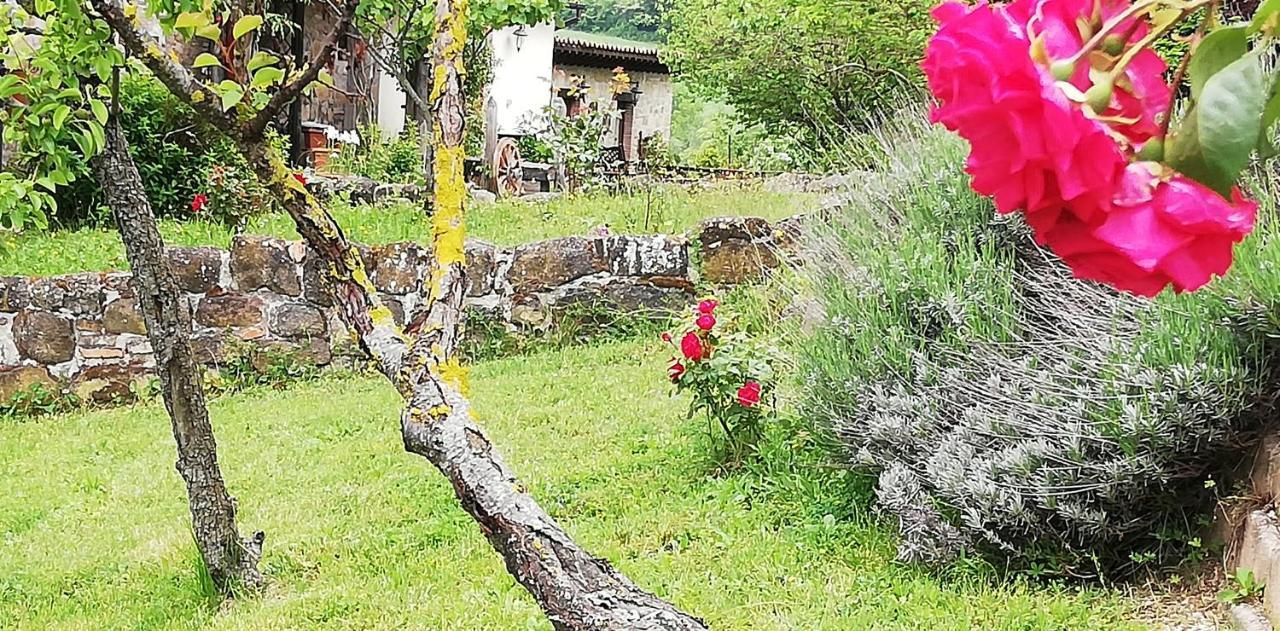 كاميرينو B&B Caselunghe المظهر الخارجي الصورة